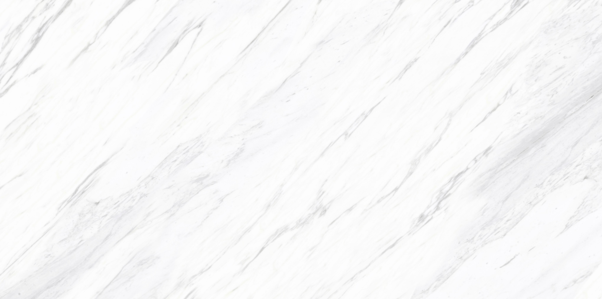 Bianco Elegance