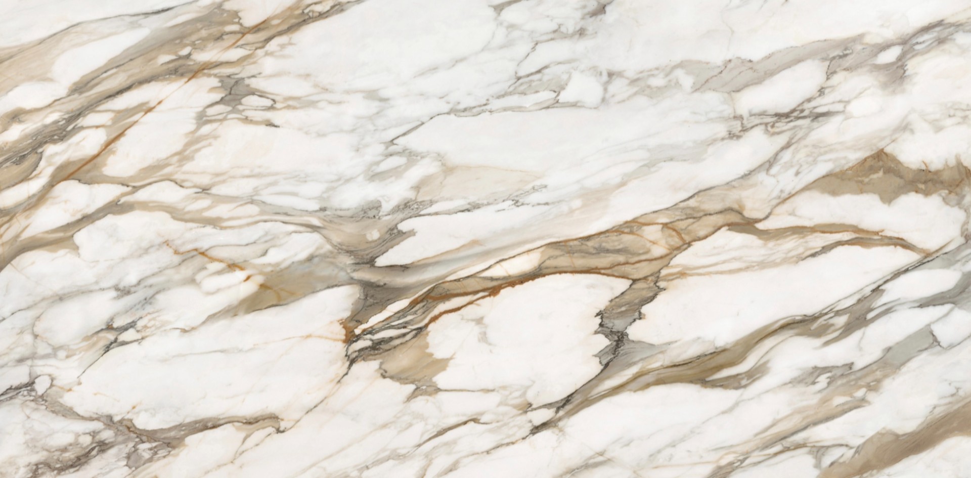 Calacatta Gold