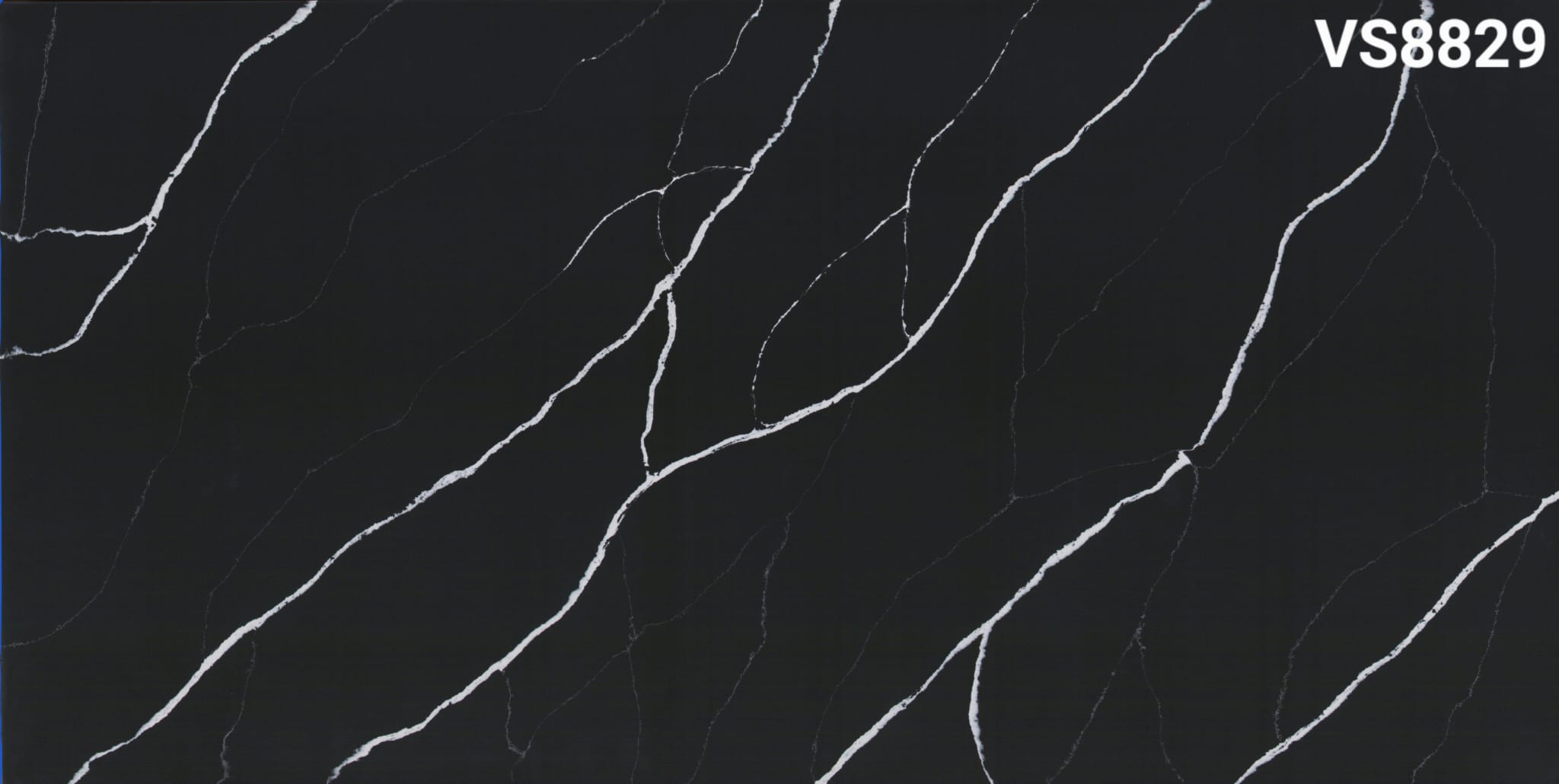 VS8829 Thick Line