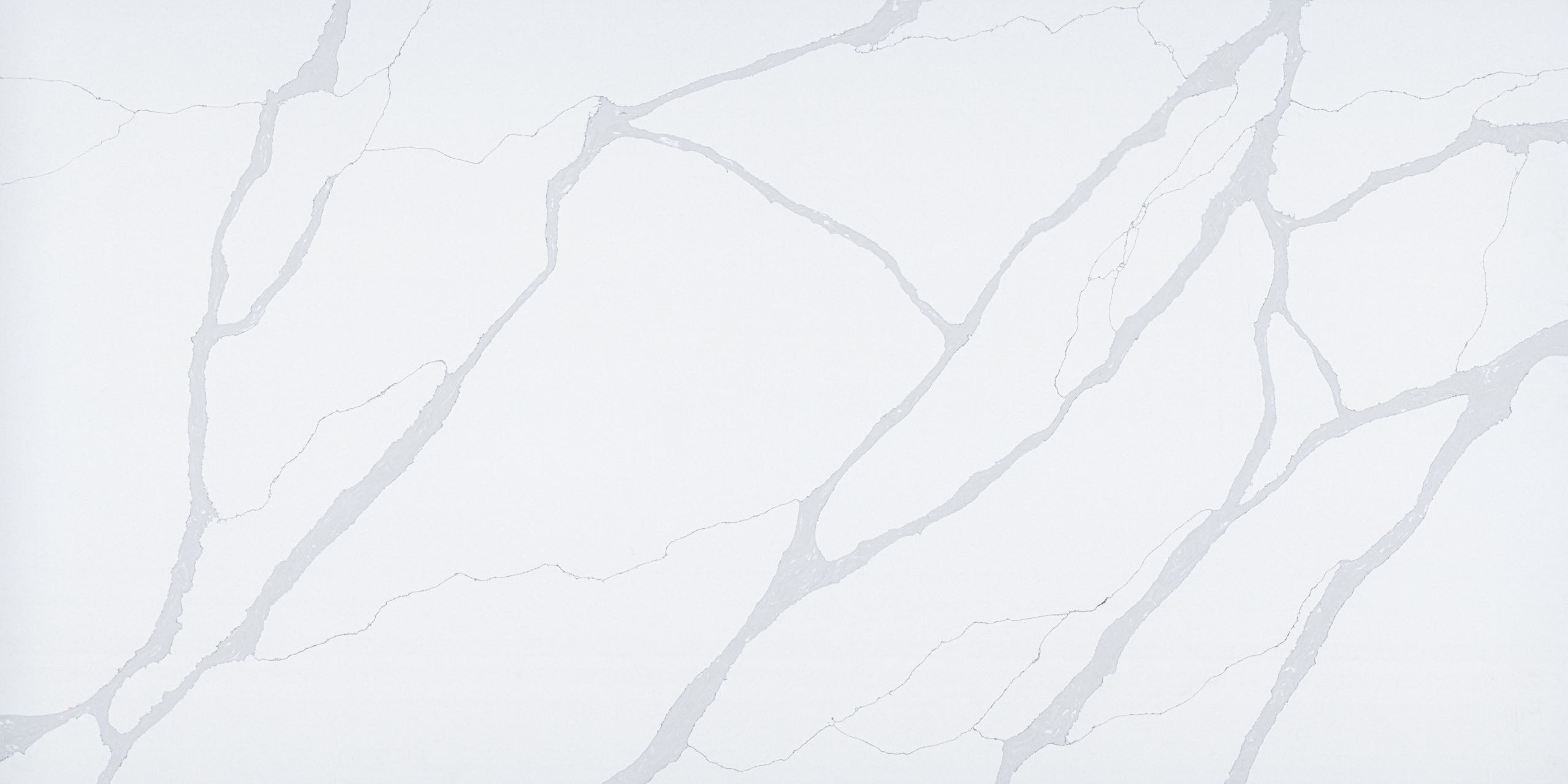 VS5505